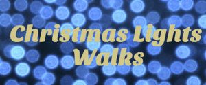 Farewell Christmas Lights