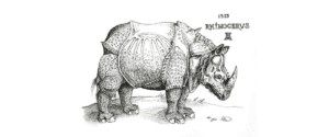 Rhinoceros in London Blog Header