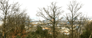 Trekking in London’s Hills Blog Header