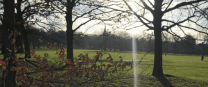 Greenwich Private Tour