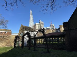 IMG_7973