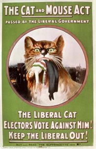 Cat and Mouse Act Poster - 1914
