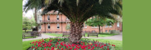 Mount Street Gardens Mayfair