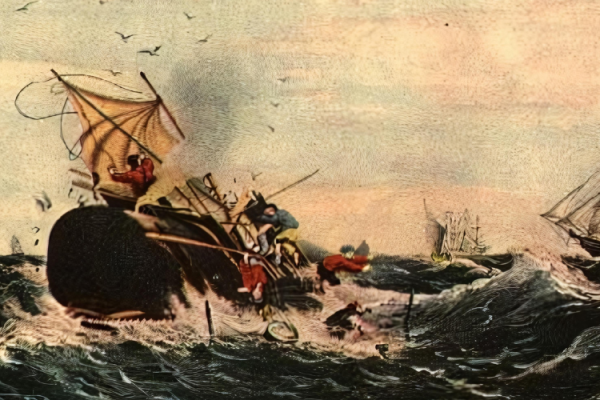 Blog 2 London and the Legacy of Whaling Significance Today Blog 2 London and the Legacy of Whaling Significance Today