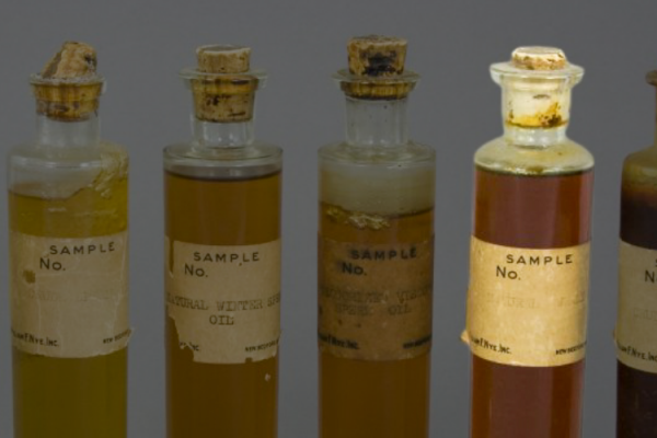 Blog 3 The Whale Oil Empire_ Story of Maritime Trade 3 Blog 3 The Whale Oil Empire_ Story of Maritime Trade 3