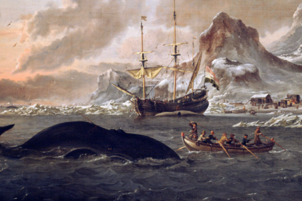 Blubber, Bone and Baleen blog header 2 Blubber, Bone and Baleen blog header 2