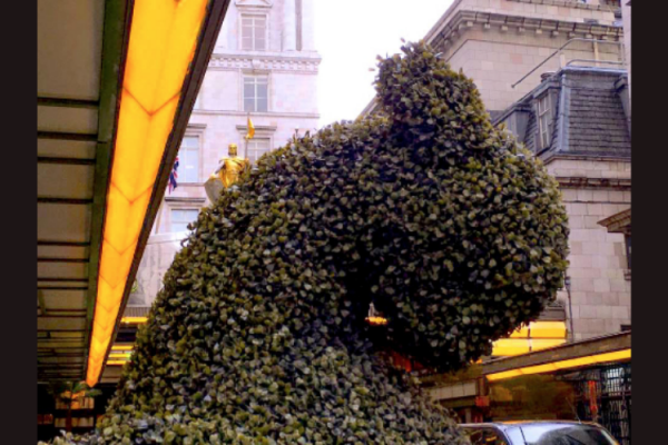 Cats in London