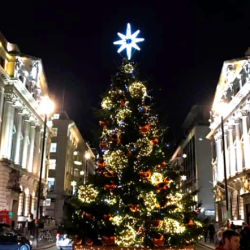 Christmas Lights walk 213756