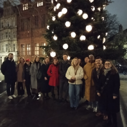 Christmas Lights walk 214014