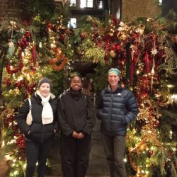 Christmas Lights walk 214138