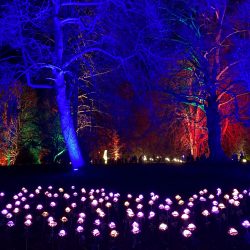 Christmas Lights_29Nov2024_Philip_1