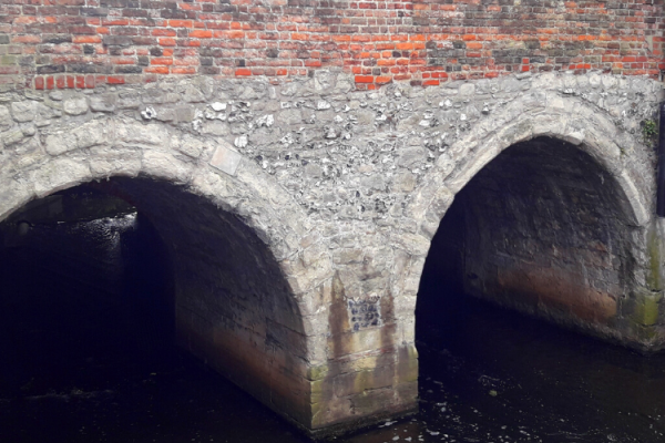 Clattering Hooves Over London's Oldest Bridge Blog Header