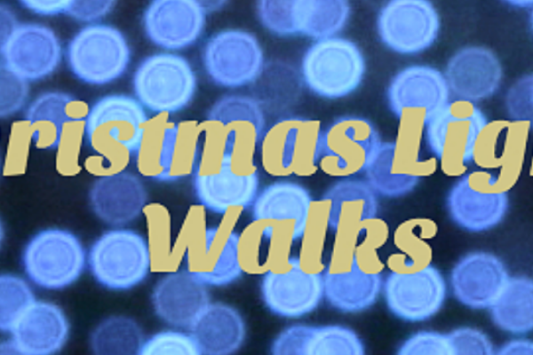 Farewell Christmas Lights