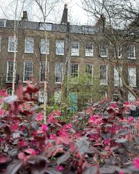 Georgian London_23Mar2025_8738