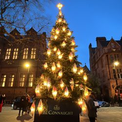 Christmas Lights Walking Tour
