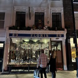 Christmas Lights Walking Tour