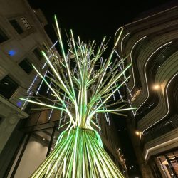 Christmas Lights Walking Tour