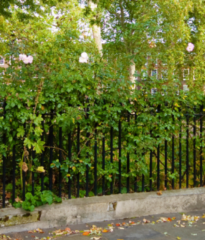 Legal London Lincoln and Grays Inn Walking Tour