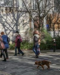 Medieval Walking Tour in the City of London