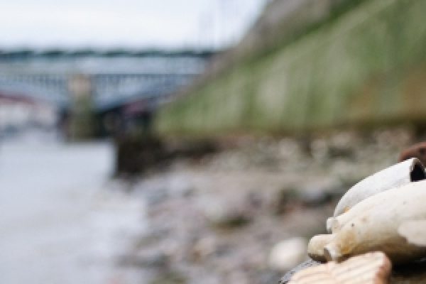 Mudlarking in London