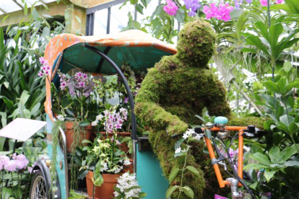 Orchid Festival at Kew Gardens