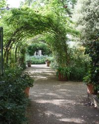 Pimlico Walking Tour1