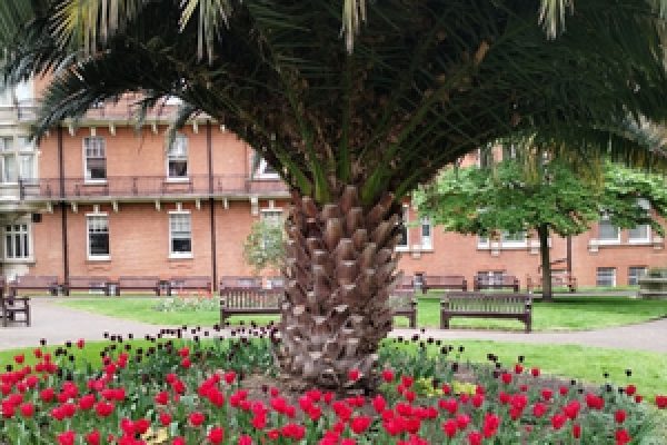 Mount Street Gardens Mayfair