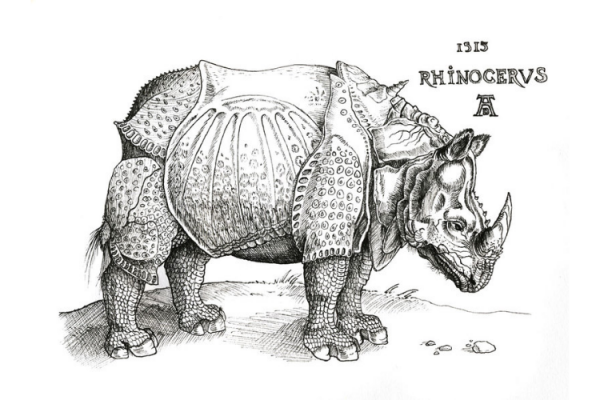 Rhinoceros in London Blog Header