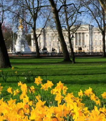 Royal London Walk