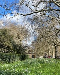 Royal London Walk (15)