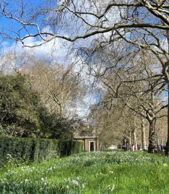 Royal London Walk