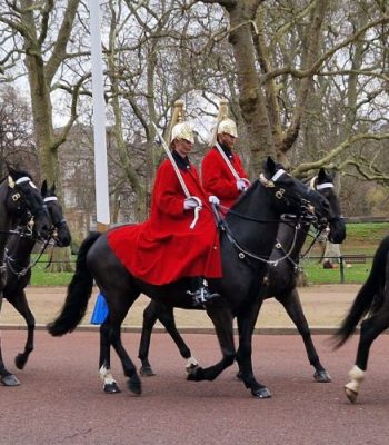 Royal London16Dec2024