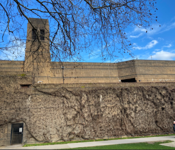 Screenshot 2026-03-12 164935