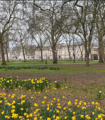 Screenshot 2026-03-16 232749