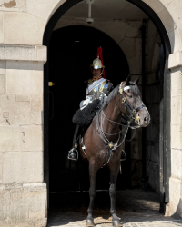 Royal London tour