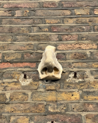 A Nosey Around Soho walk-Phil