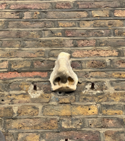 A Nosey Around Soho walk-Phil