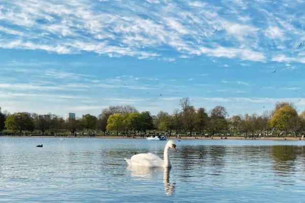 Serpentine Park