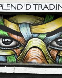 Street art tour_8Dec2024_Hazel_8