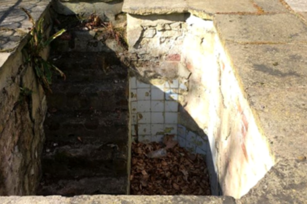 Taking the Plunge in Greenwich Park Blog Header