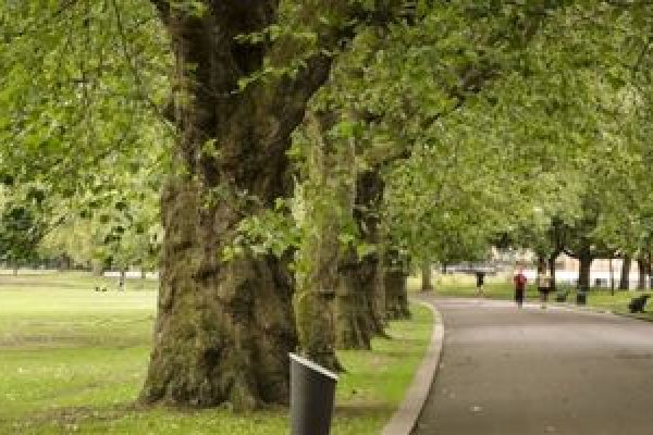 Victoria Park London Guided Walks