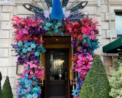 Victorian Covent Garden (3)