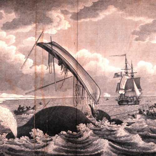 Whaling-dangers_of_the_whale_fishery