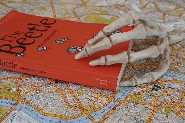 image 1 The Beetle image 1 The Beetle